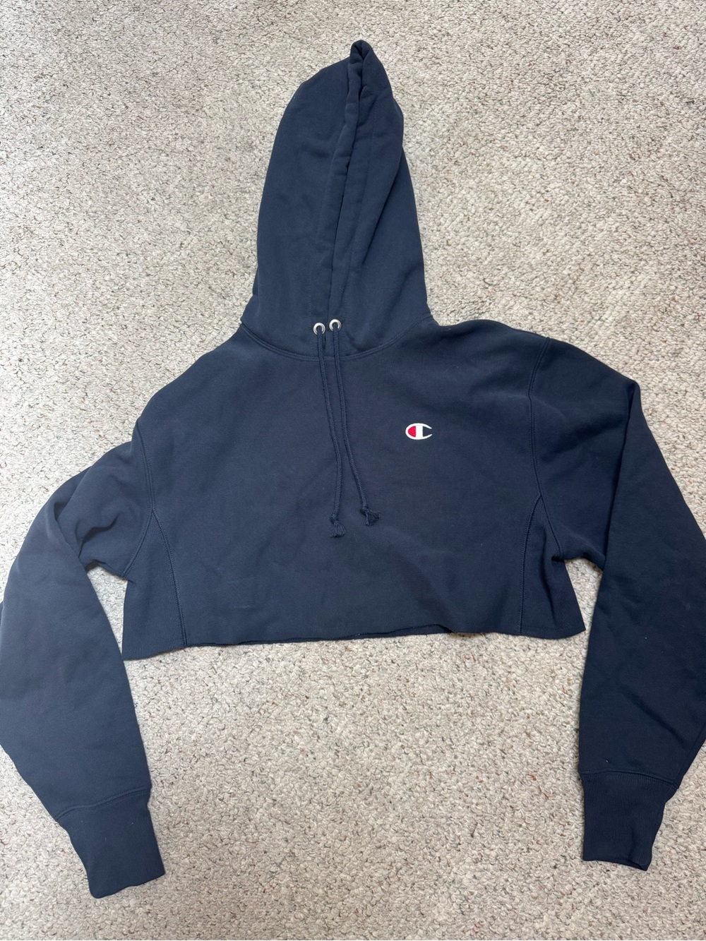 Champion Reverse Weave Hoodie in Charcoal Gray